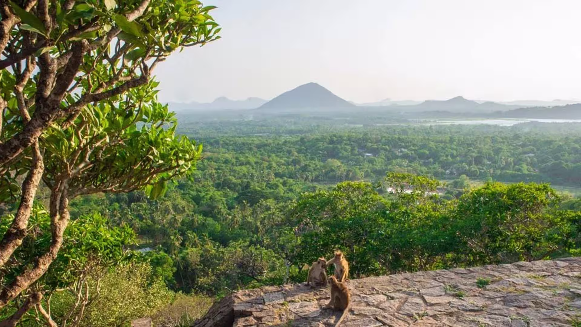 Summit Panoramic Views