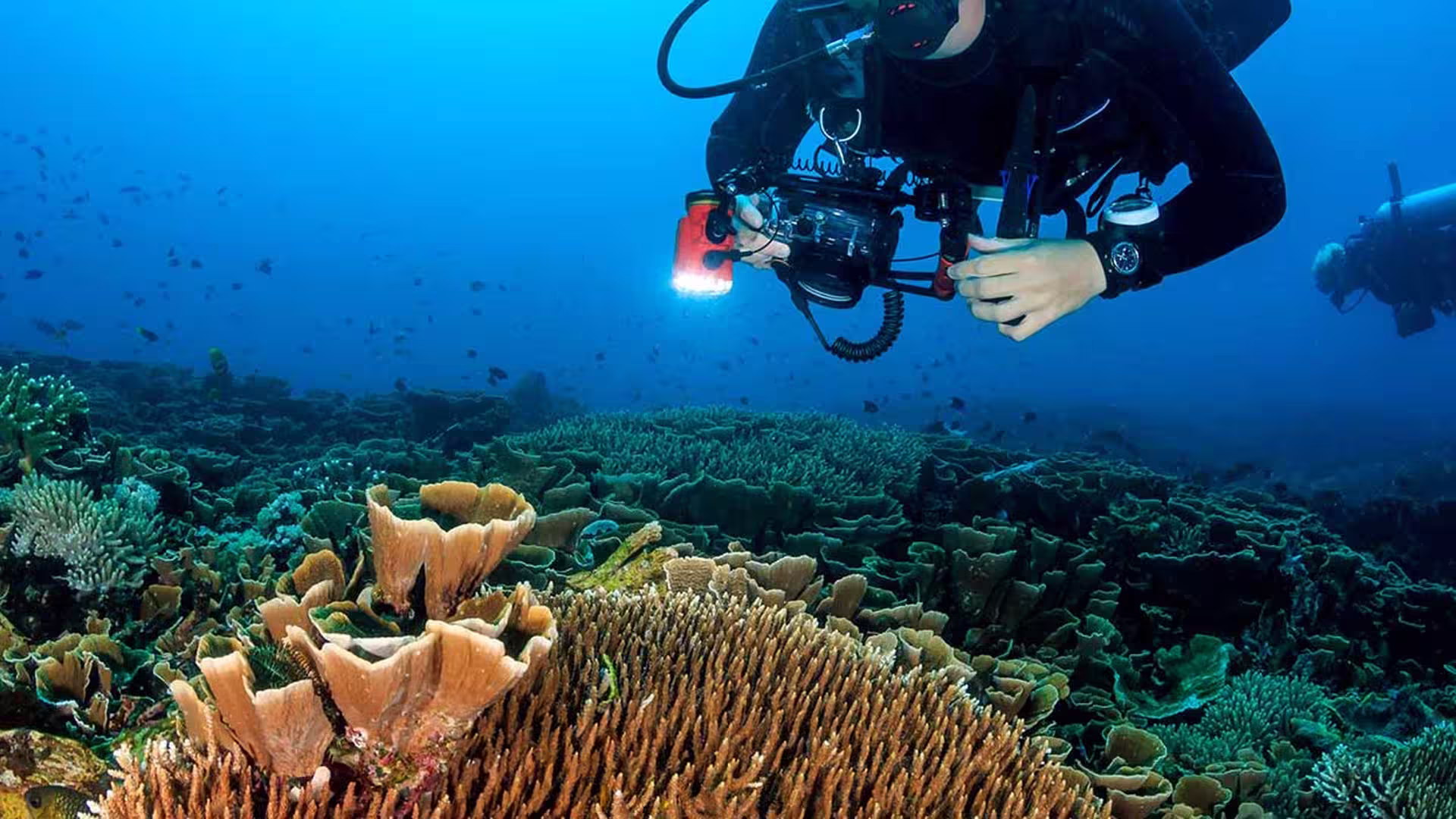 Hikkaduwa National Park